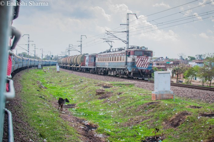 Delhi to Mumbai Train (3)